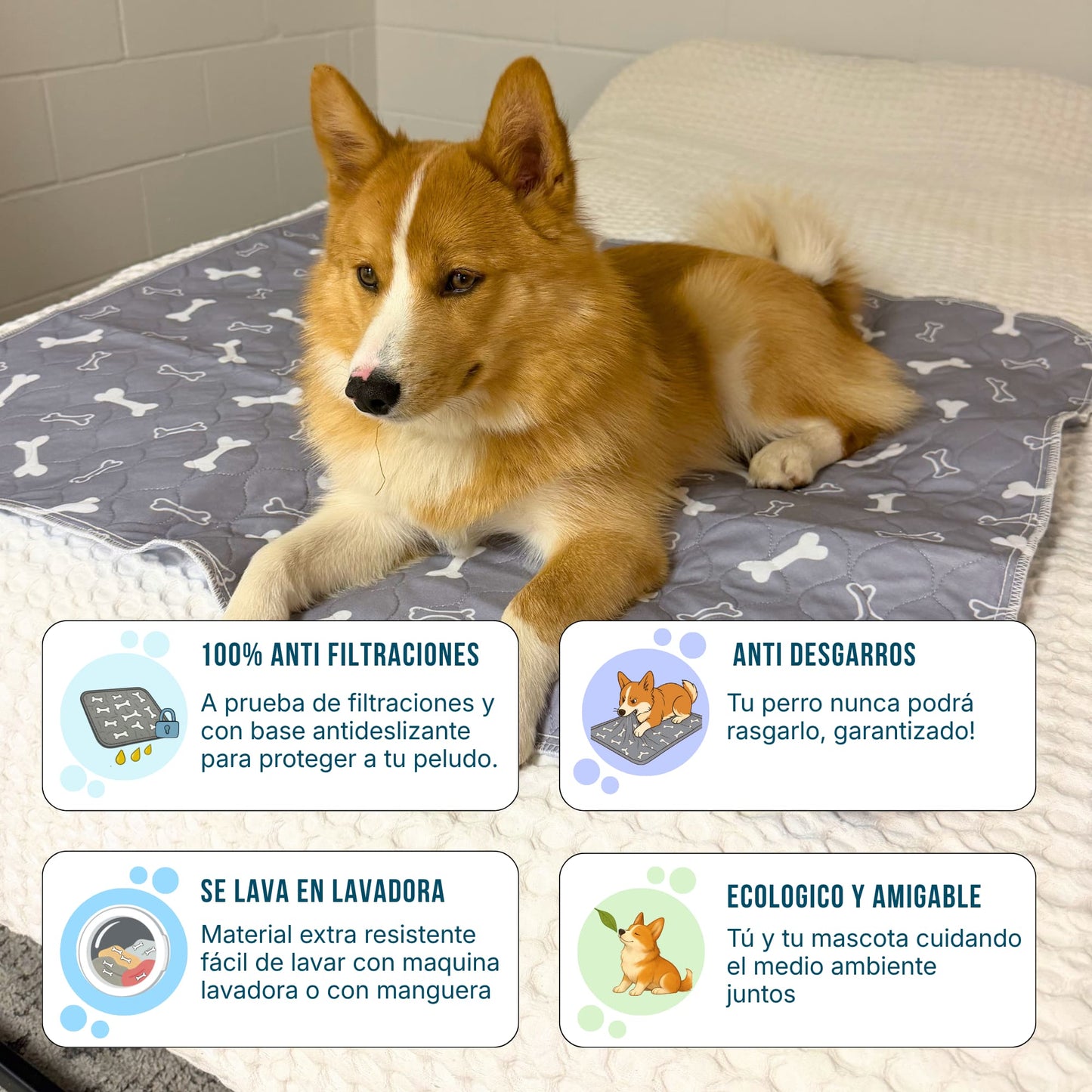 FreznyPad™ - El Último Tapete Que Tu Perro Va A Usar