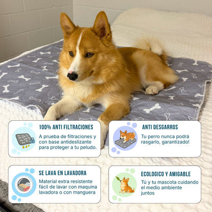 FreznyPad™ - El Último Tapete Que Tu Perro Va A Usar