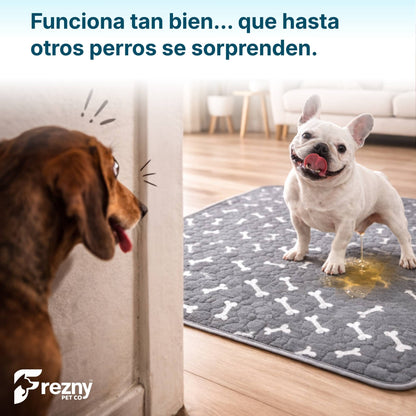 Sistema Frezny™ Tapete + Spray de Atracción