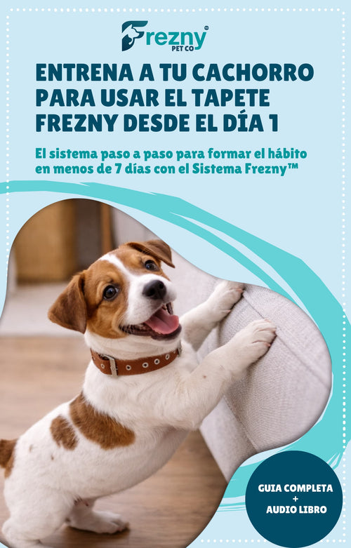 Entrena a tu Cachorro Para Usar el Tapete Desde el Día 1