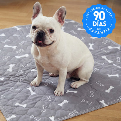 FreznyPad™ - El Último Tapete Que Tu Perro Va A Usar