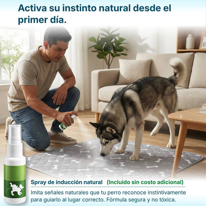 Sistema Frezny™ Tapete + Spray de Atracción