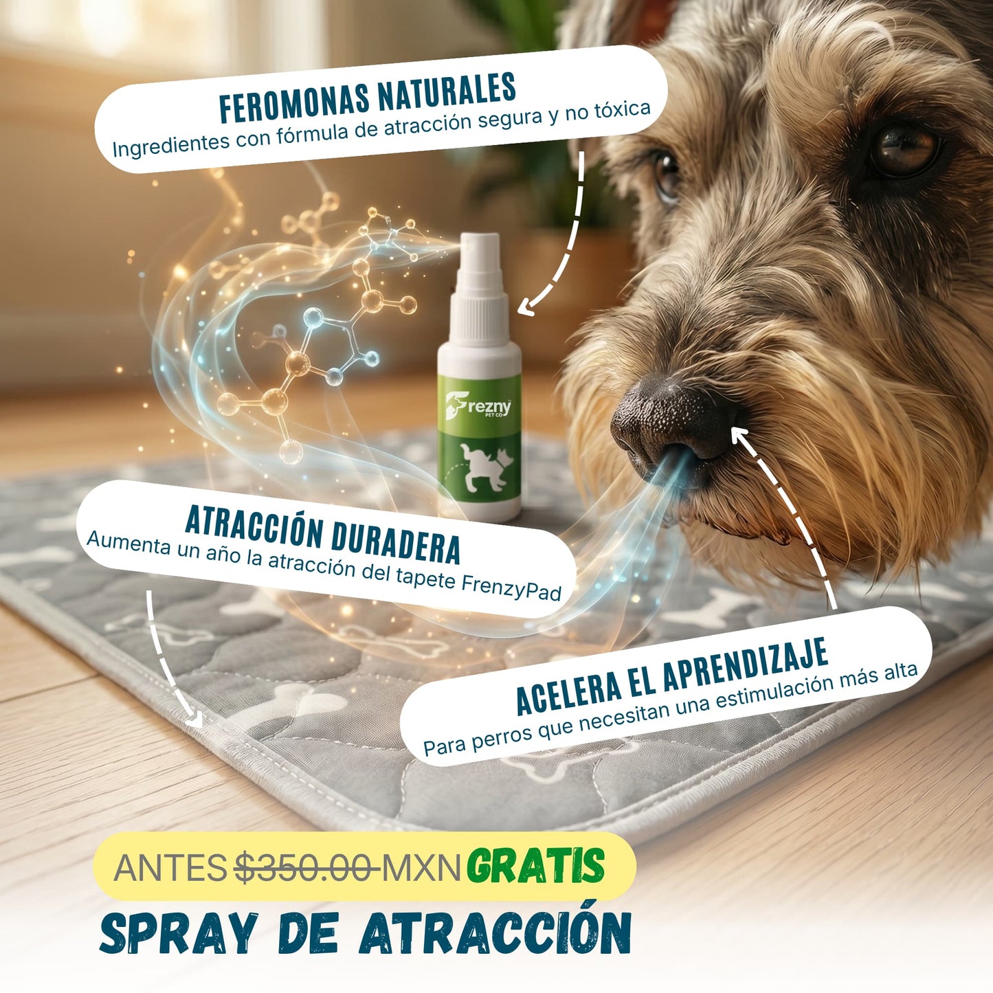 FreznyPad™ - El Último Tapete Que Tu Perro Va A Usar