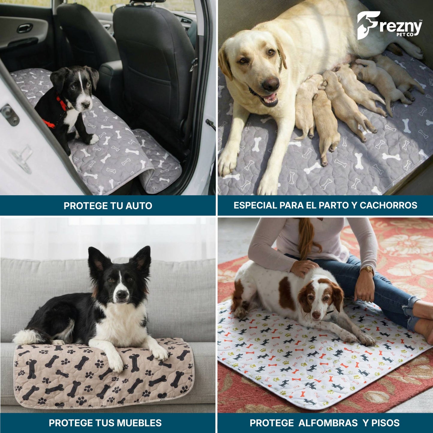 Sistema Frezny™ Tapete + Spray de Atracción