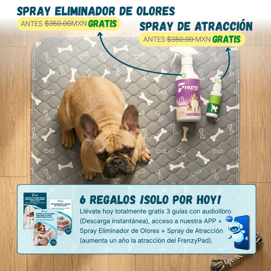FreznyPad™ - El Último Tapete Que Tu Perro Va A Usar